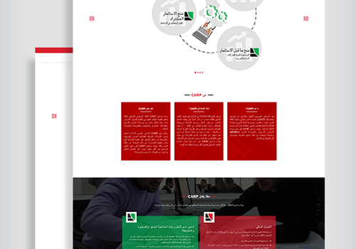 CARP Iraq - Website for GIZ