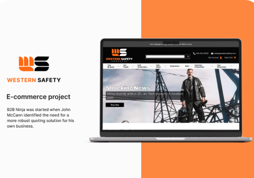Website Development for Western Safety