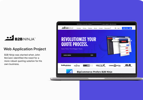 Marketing site Web Development for B2B Ninja