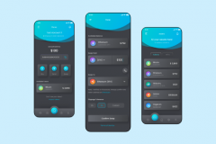 CYVO - Crypto Wallet App