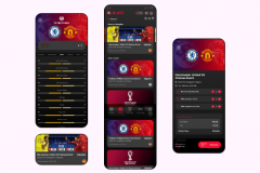 WTF! WhatheFootball - A Football Screening and Ticketing App