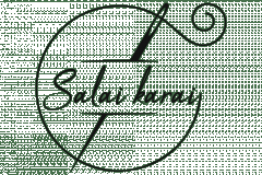 Buy Latest Women Clothes in USA