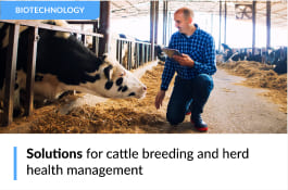 Solutions for cattle breeding